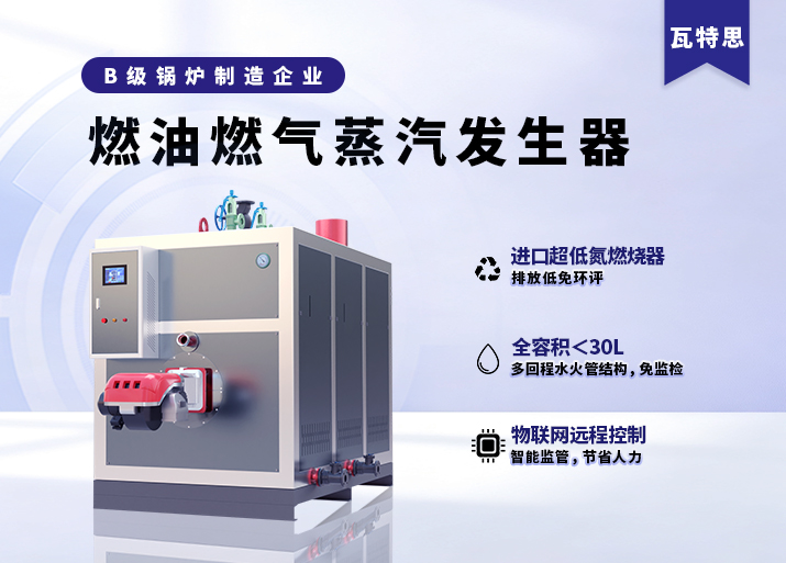 燃气/燃油蒸汽发生器